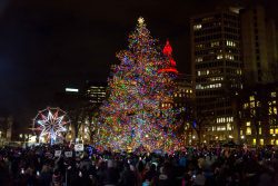 New Haven Holiday Tree Lighting