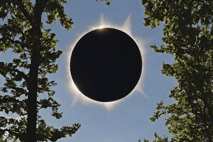 3 Places to Watch the '24 Solar Eclipse In and Around Downtown New Haven