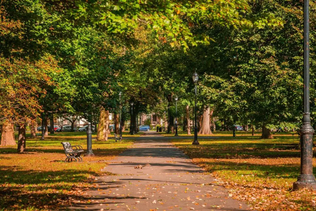 Fall in New Haven: Where to See the Best Foliage and City Views